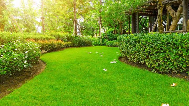 Aménagement d’espaces verts à Rennes