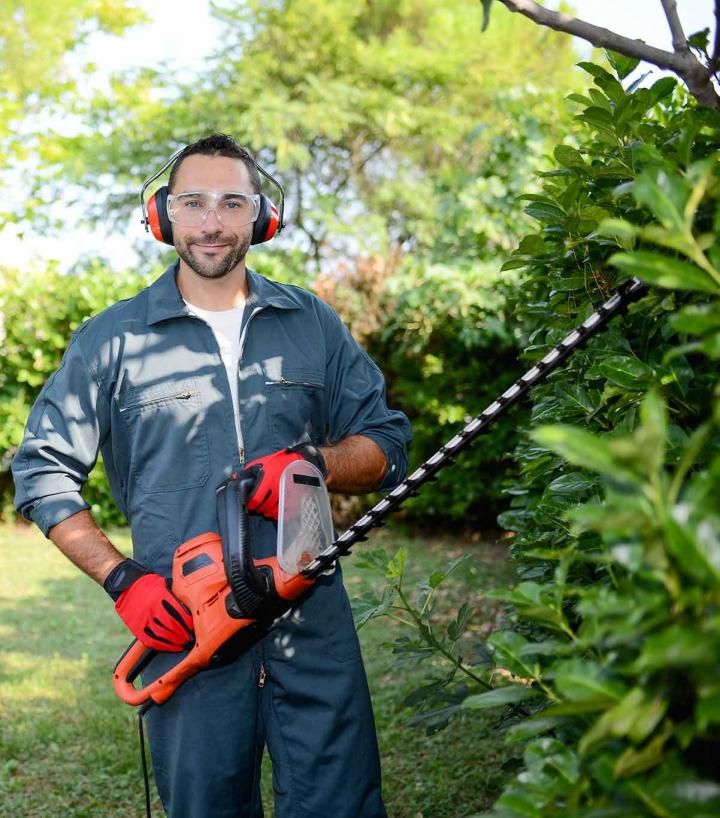 Paysagiste à Rennes