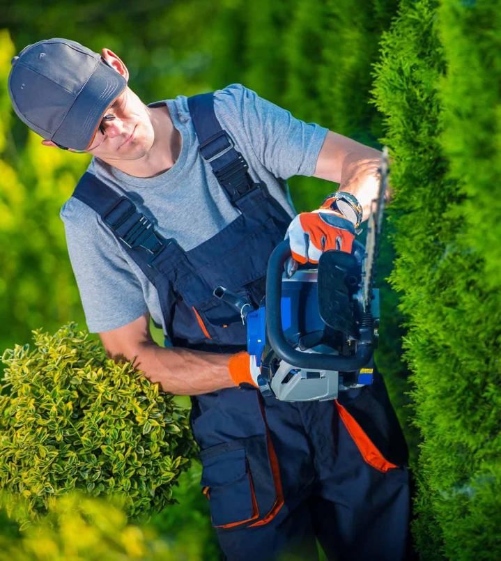 Entretien d’espaces extérieurs à Rennes